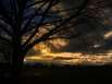 Herbstgedanken