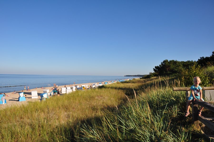 Dünenlandschaft am Strand in Vorpommern-Greifswald