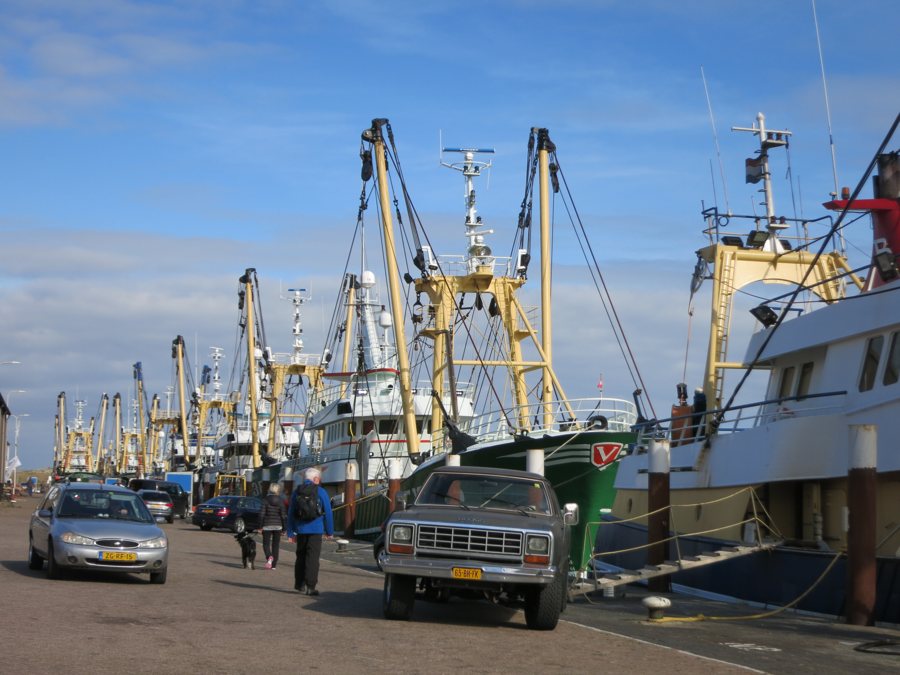 Fischerboote im Hafen der Niederlande