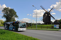 Mit der VHS Greifswald auf Schlössertour im Landkreis Vorpommern-Greifswald