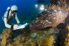 Jacques-Yves Cousteau Thema im Ozeaneum Stralsund