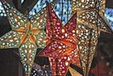 Weihnachtssterne/Hollandinfo