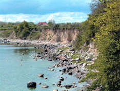 Steilküste auf der Greifswalder Oie (Foto: Rainer Höll)